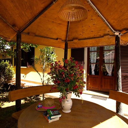 Agriturismo I Cerroni Montescudaio Dış mekan fotoğraf