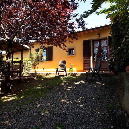 Agriturismo I Cerroni Montescudaio Dış mekan fotoğraf