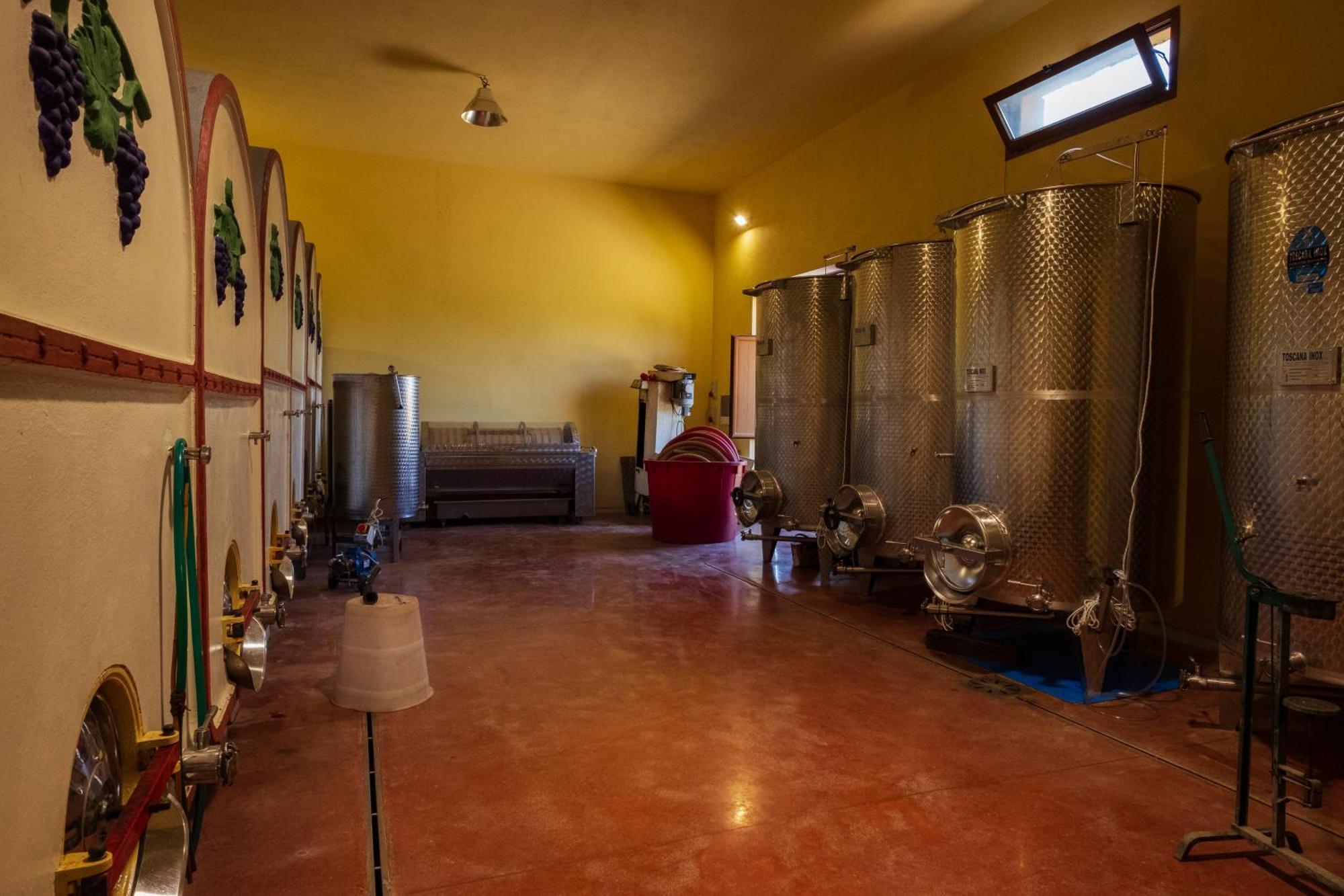 Agriturismo I Cerroni Montescudaio Dış mekan fotoğraf