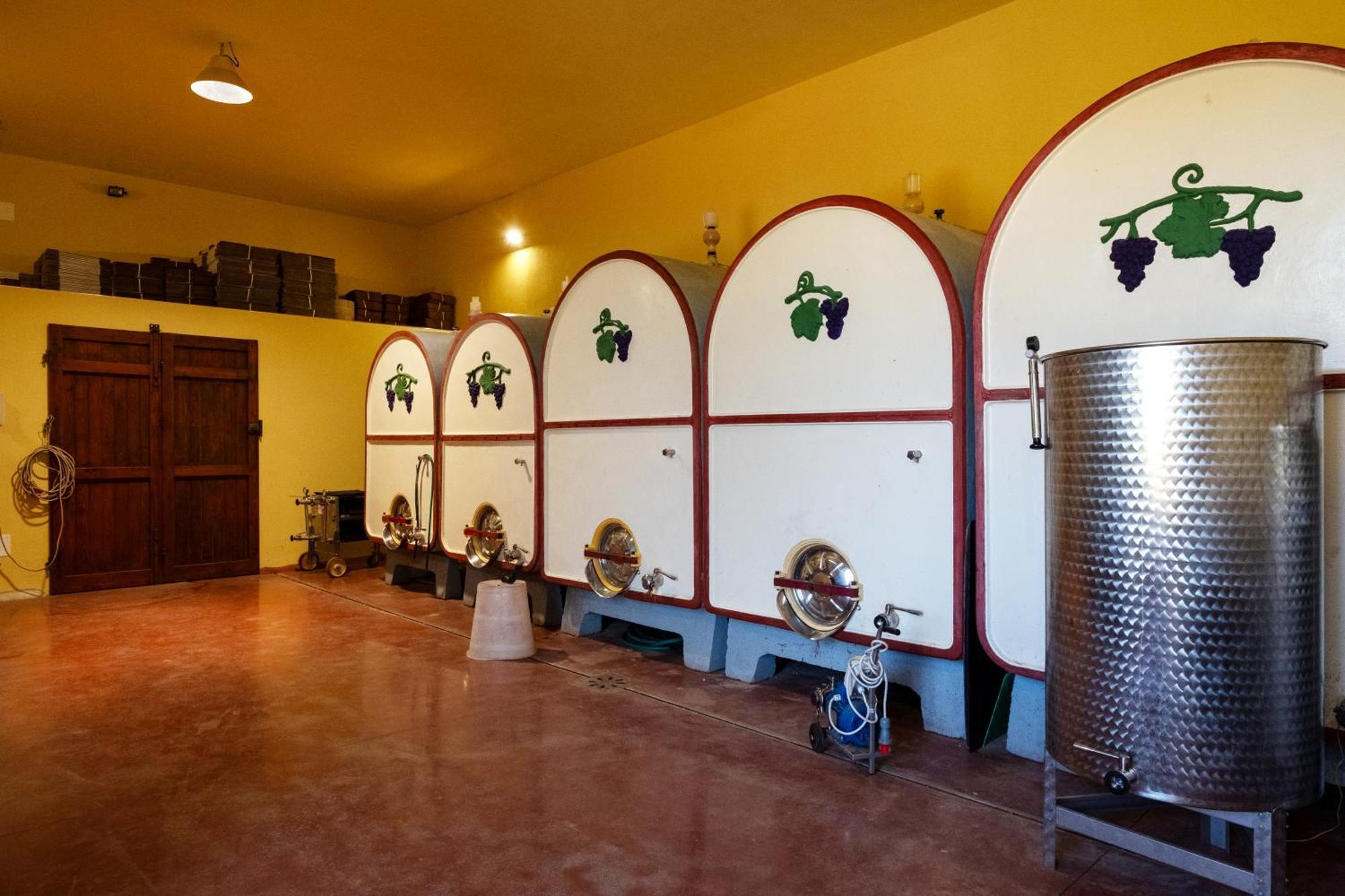Agriturismo I Cerroni Montescudaio Dış mekan fotoğraf
