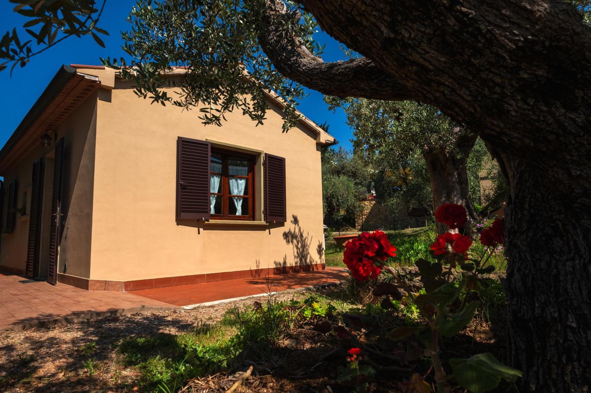 Agriturismo I Cerroni Montescudaio Dış mekan fotoğraf