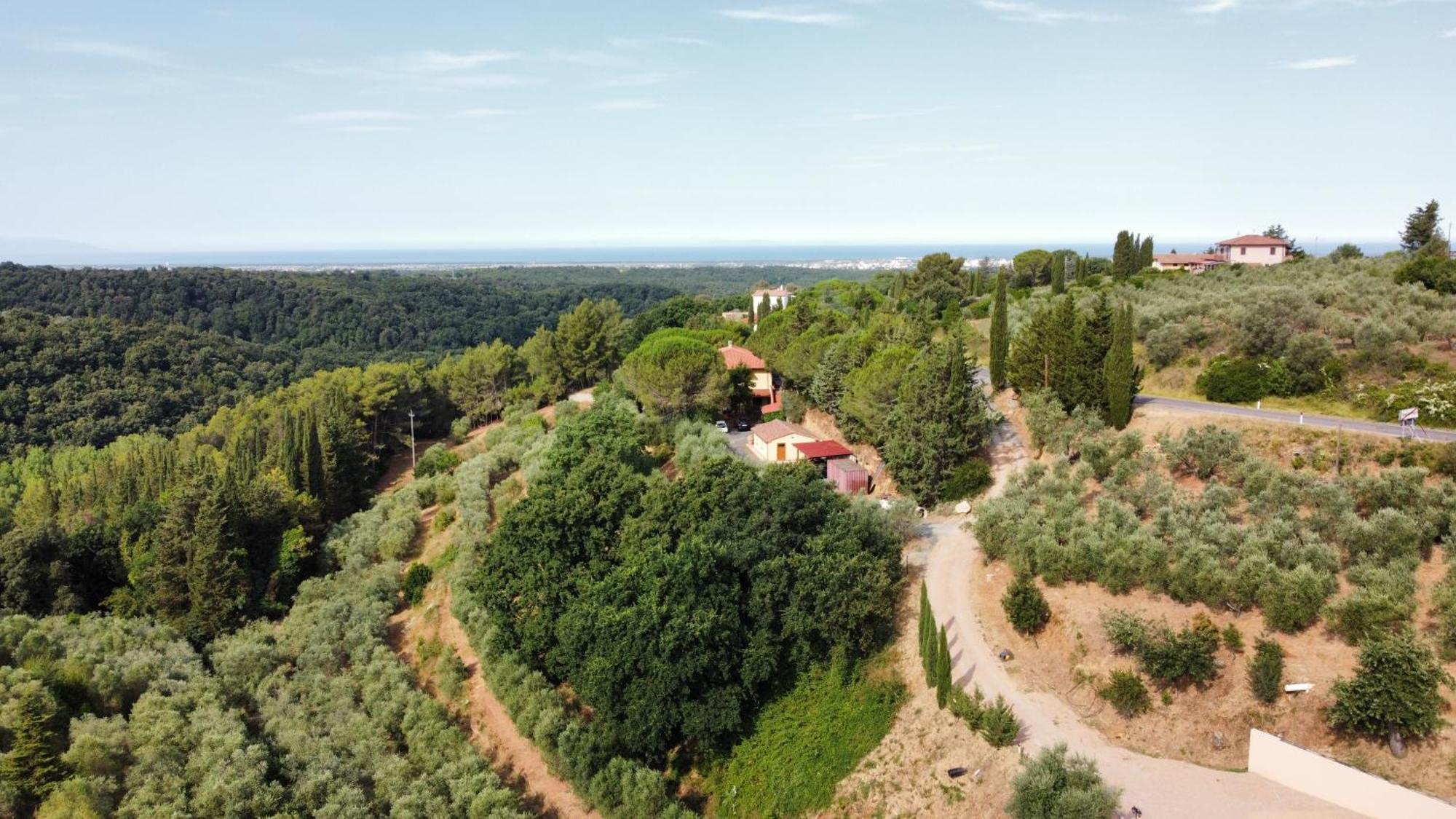 Agriturismo I Cerroni Montescudaio Dış mekan fotoğraf