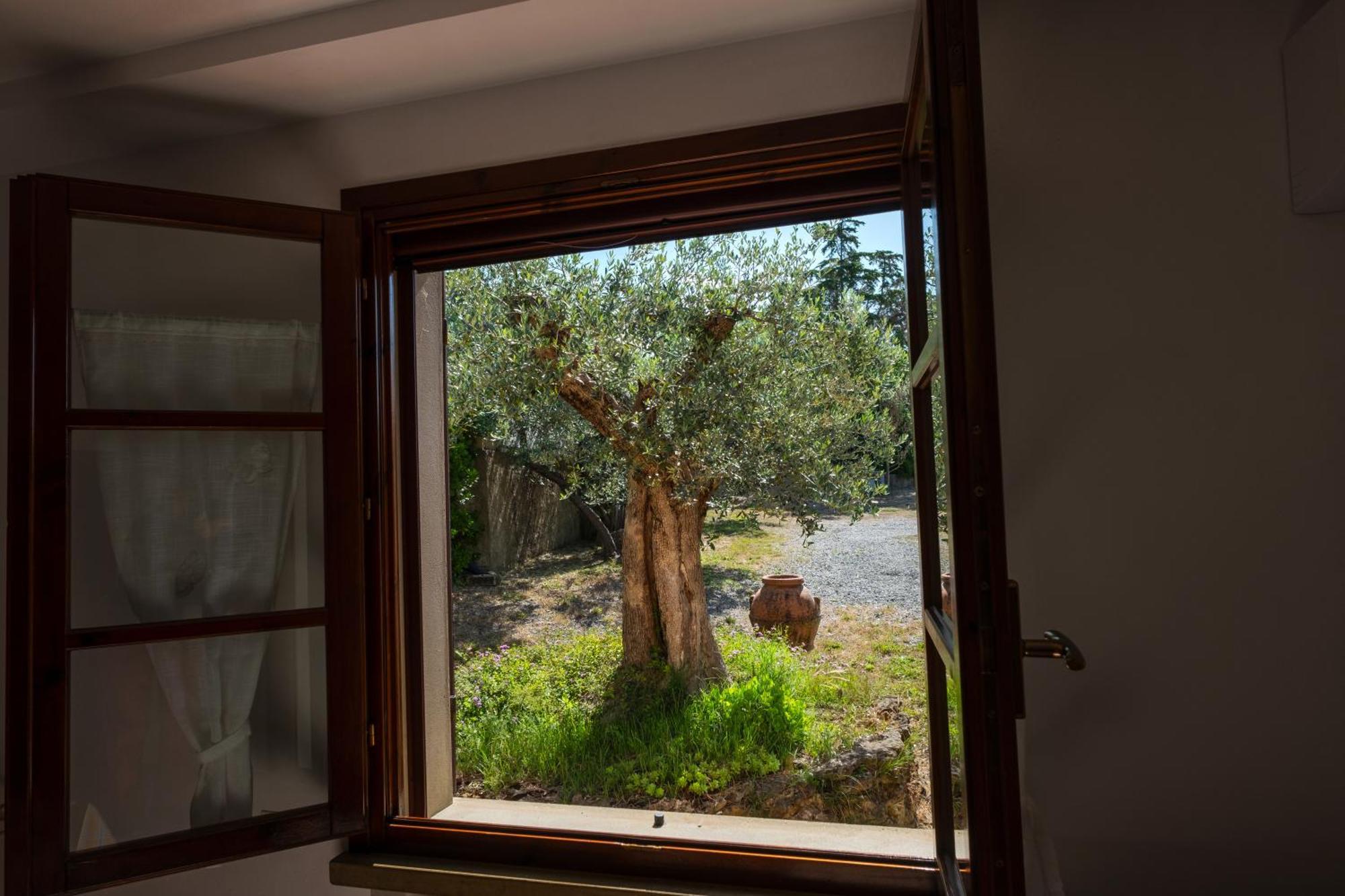 Agriturismo I Cerroni Montescudaio Dış mekan fotoğraf